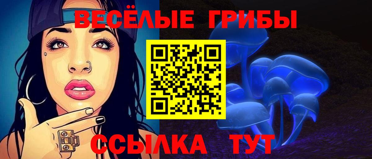 Галлюциногенные грибы Psilocybe  продажа наркотиков  Королёв  Вход с VPN 