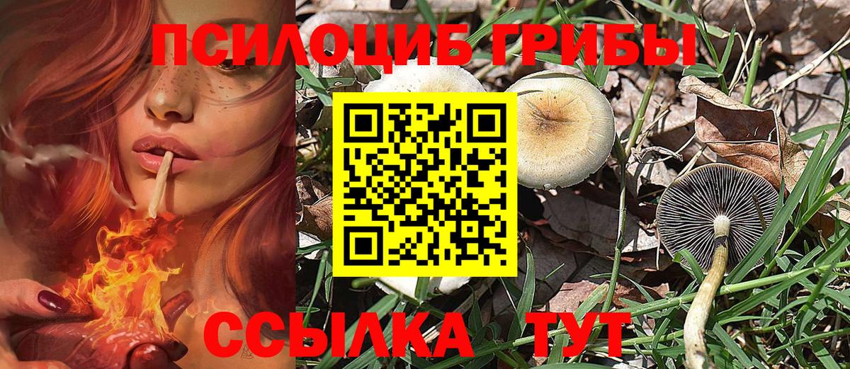 Галлюциногенные грибы прущие грибы Королёв